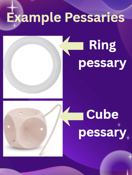 Female Pelvic Health Positive Week 1 ….From Pavement to Pelvis: Prolapse and the Runner’s Body Regain Your Run Strong 7 c33271 041 e852 1a33 8f42dedbdc36 Screenshot 2026 01 22 155810